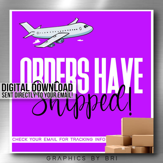 Shipped Flyer (purple)