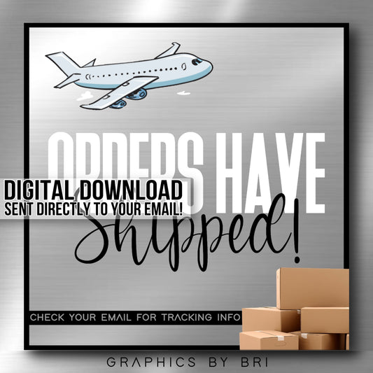 Shipped Flyer (silver)